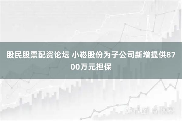 股民股票配资论坛 小崧股份为子公司新增提供8700万元担保